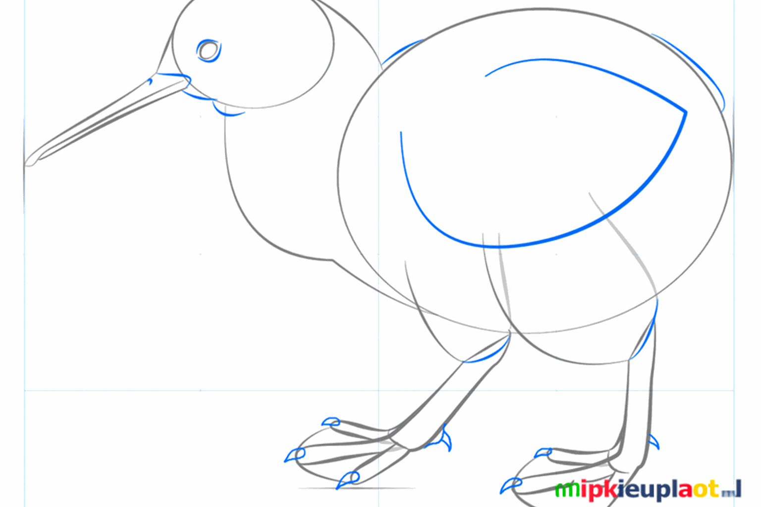 Kiwi bird drawing lesson step 5: Shaping the beak and legs with details.
