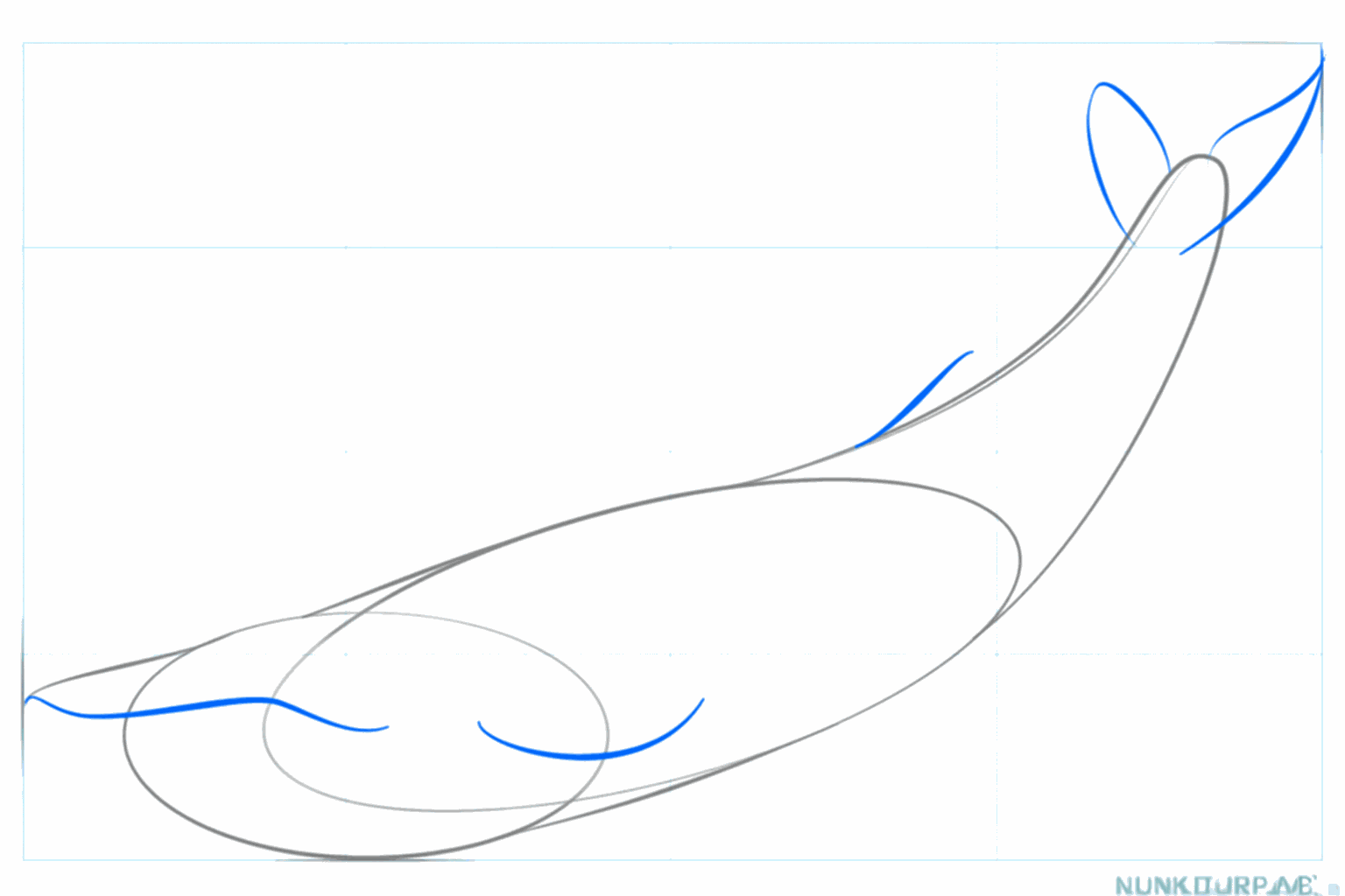 Drawing a blue whale step 3: Straight and curved lines for the fins and the tail.
