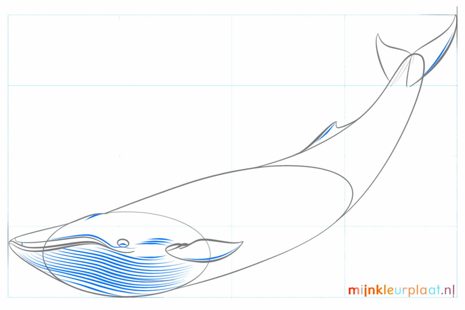 Drawing a blue whale step 6: Refining the body and drawing a blowhole.