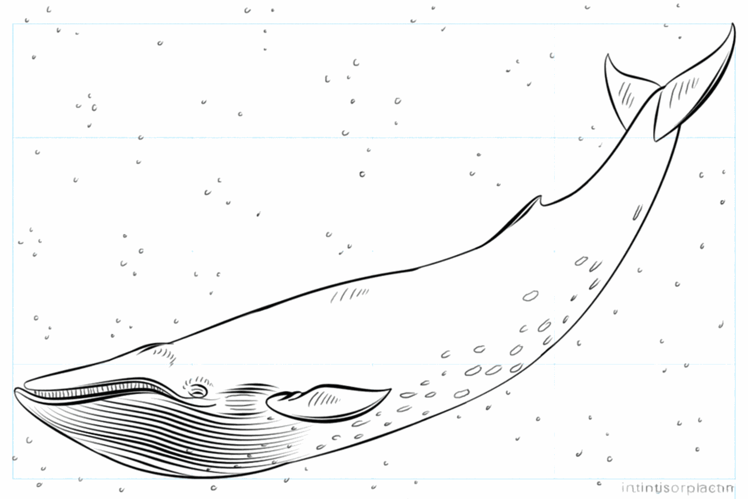 Drawing a Blue Whale: Step-by-Step Drawing Lesson
