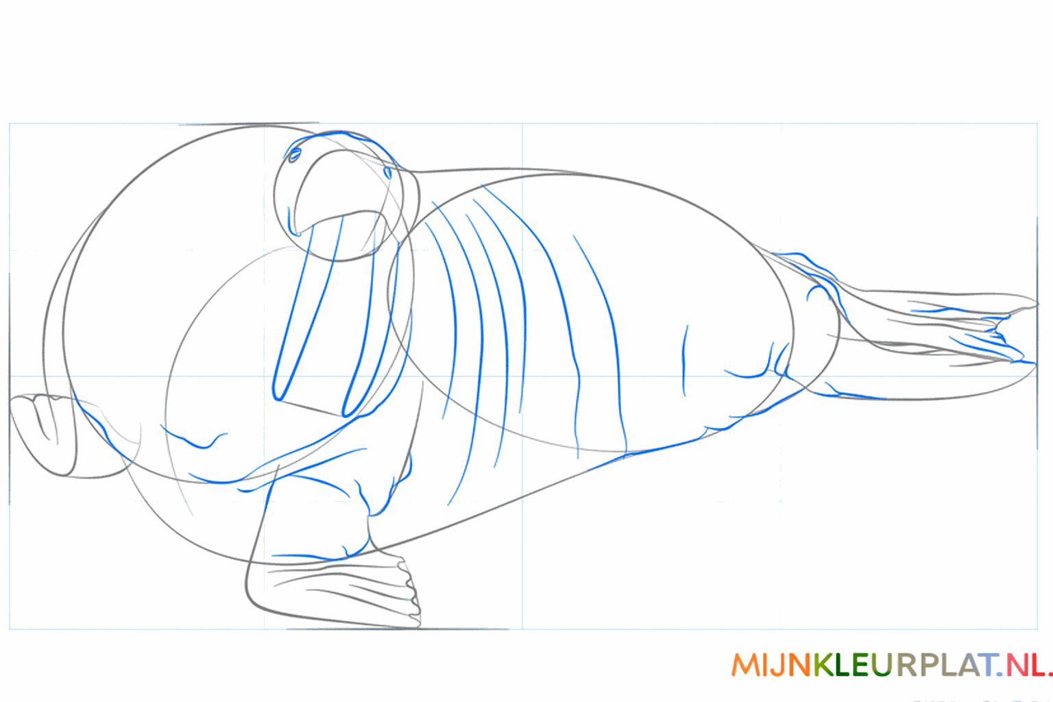 Dessiner deux longues défenses et un nez sur le morse.
