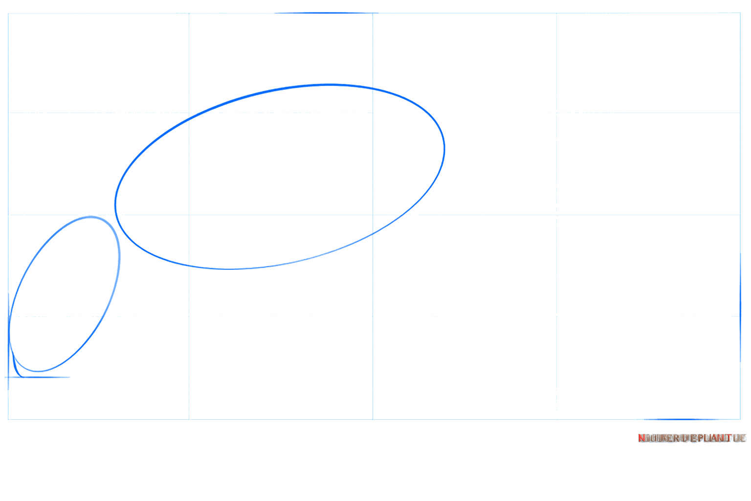 Deux ovales obliques comme base pour le corps de l'orque.