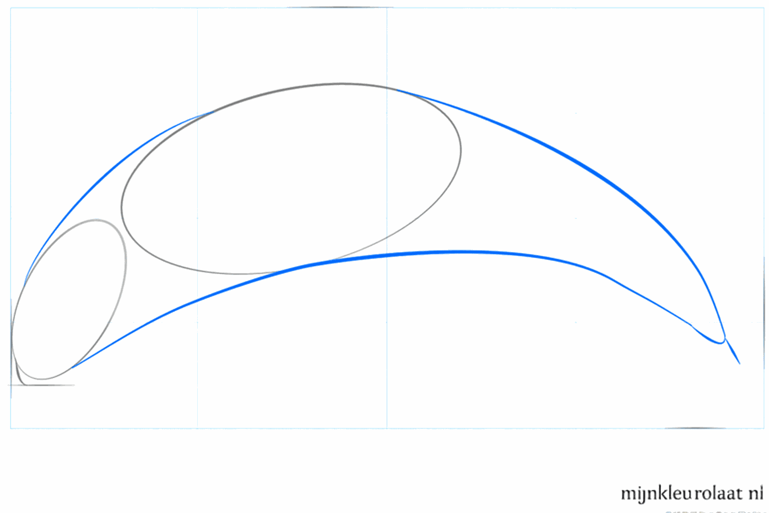 Une ligne courbe qui relie les formes de l'orque entre elles.