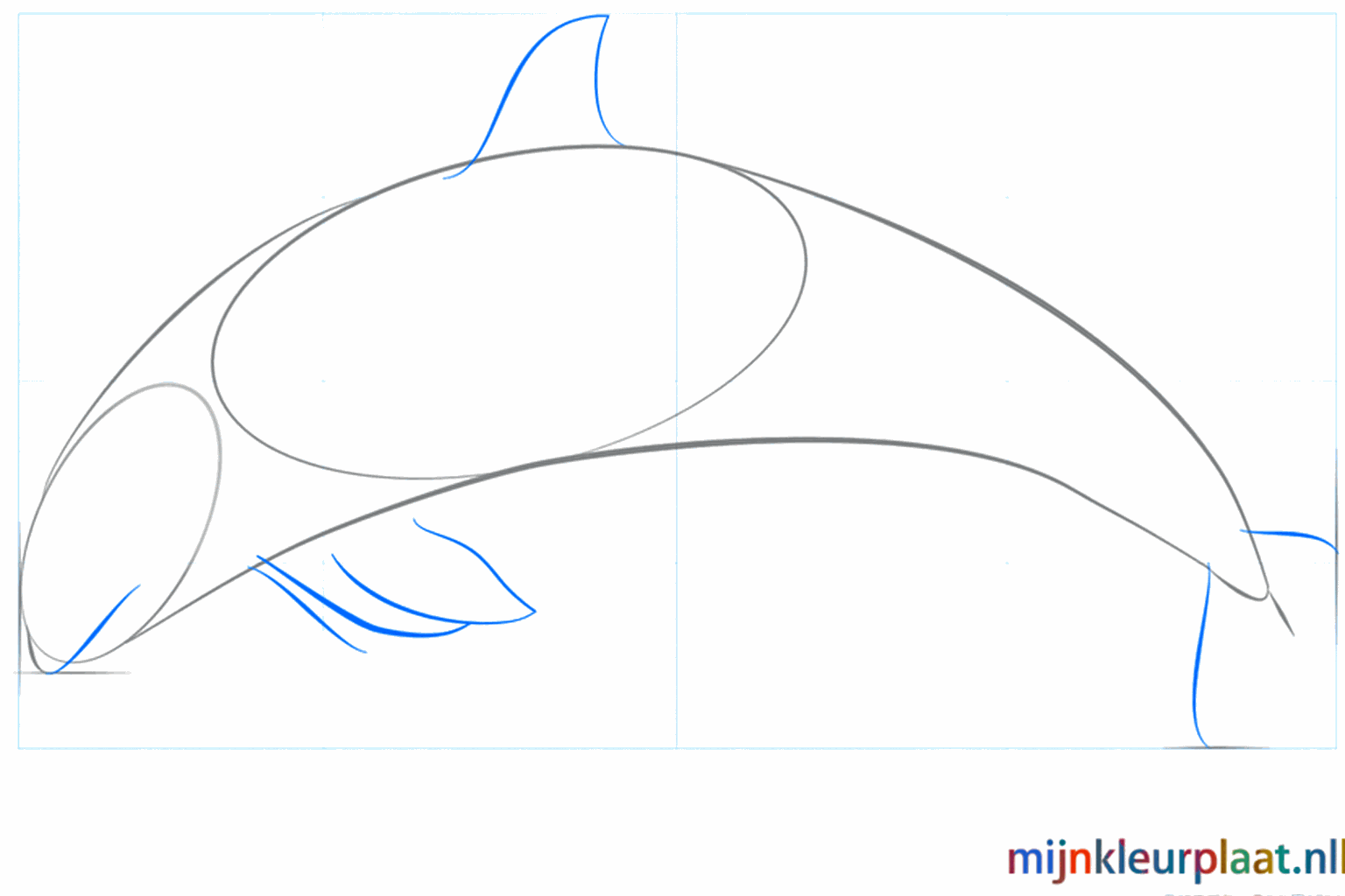 Lignes pour la bouche et la large nageoire caudale de l'orque.