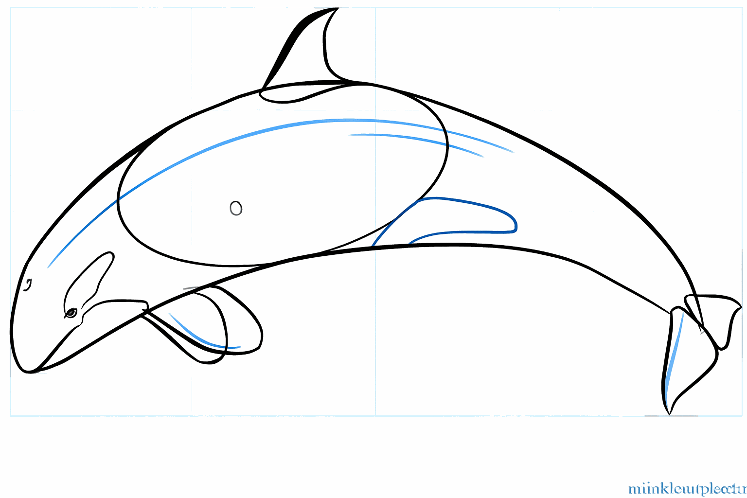 Formes plus rondes pour les nageoires et détails comme l'œil de l'orque.