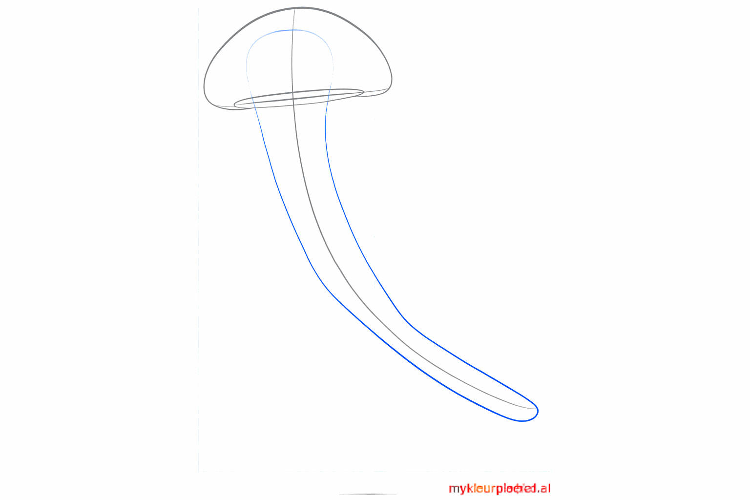 The bell of the jellyfish with the first start of the oral arms in the center.