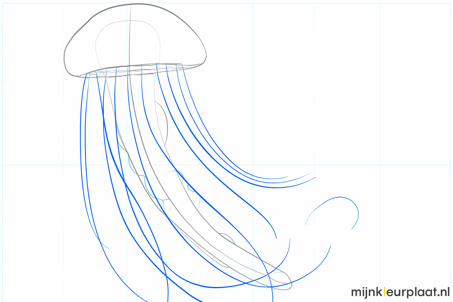Wavy details and fringes on the central arms of the jellyfish.