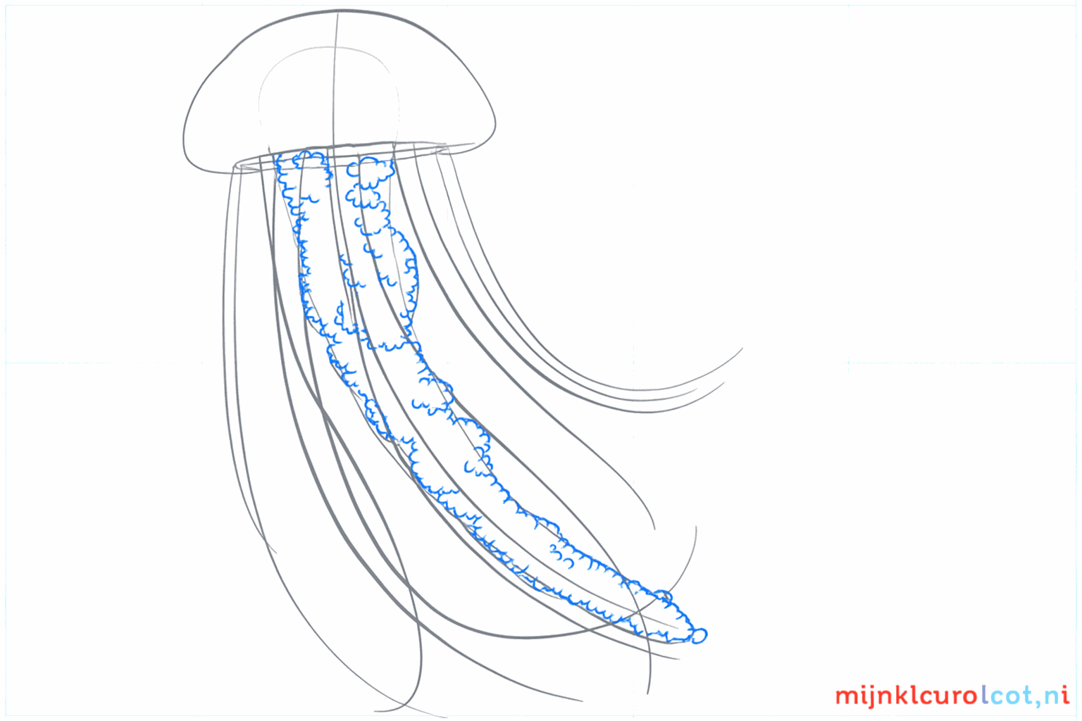 Thin tentacles hanging down from the bell.