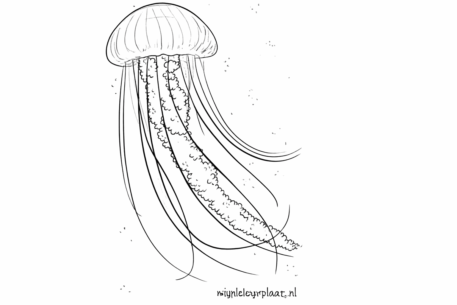 Drawing a happy jellyfish in 8 simple steps