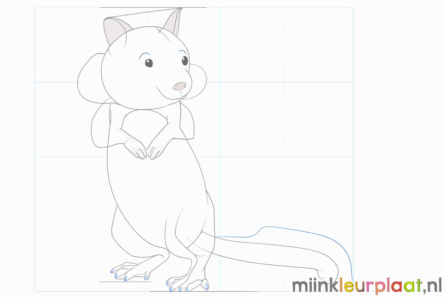 Petits orteils sur les pattes et une forme large pour la queue touffue.