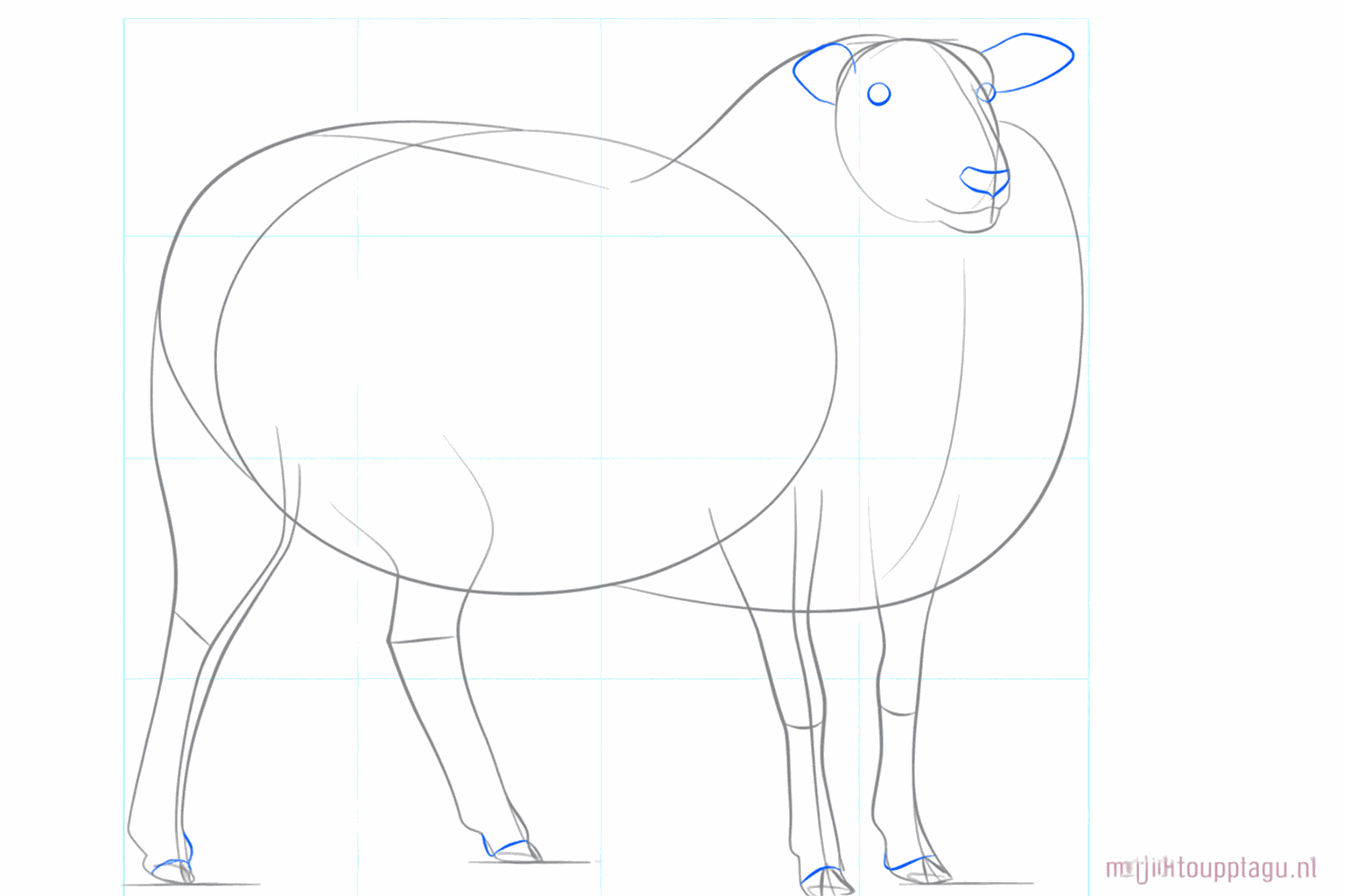 Dessin des yeux et des oreilles sur la tête du mouton.