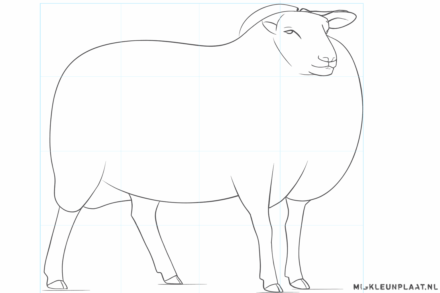 Détails des sabots et du visage du mouton.