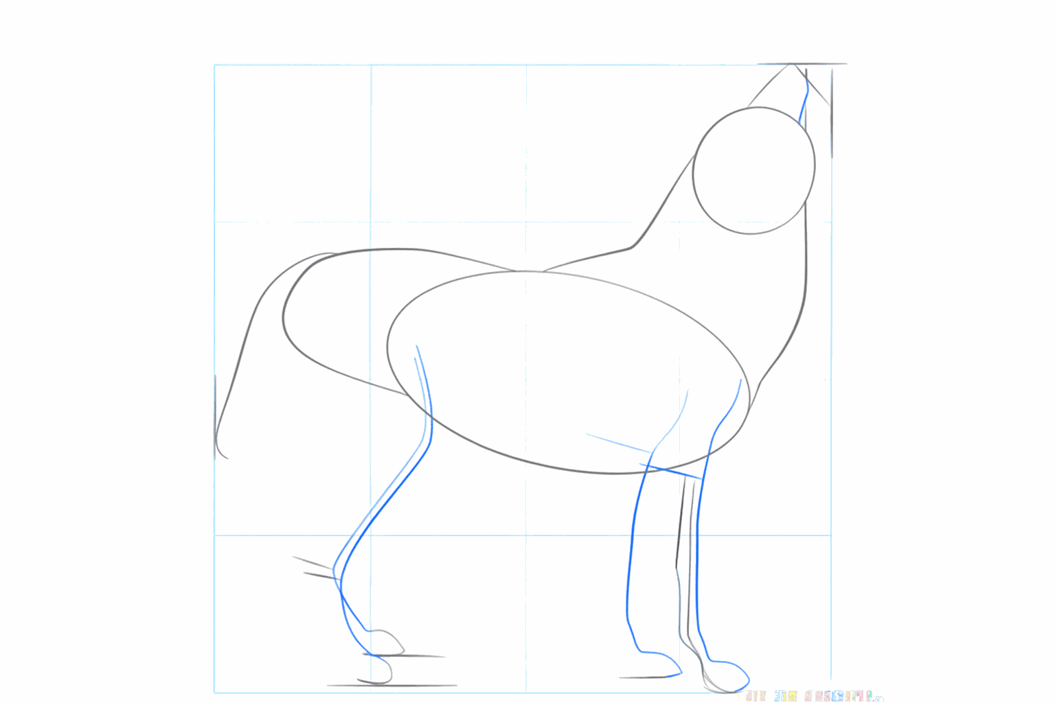 Guide lines for the legs and a long line for the wolf's tail.