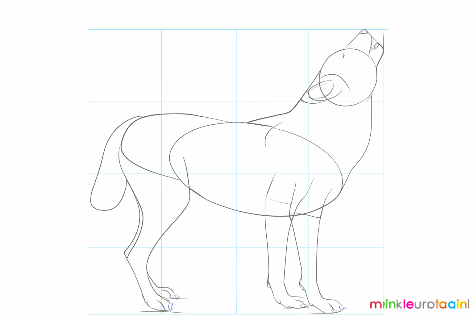 A thick tail and a small eye on the wolf's head.