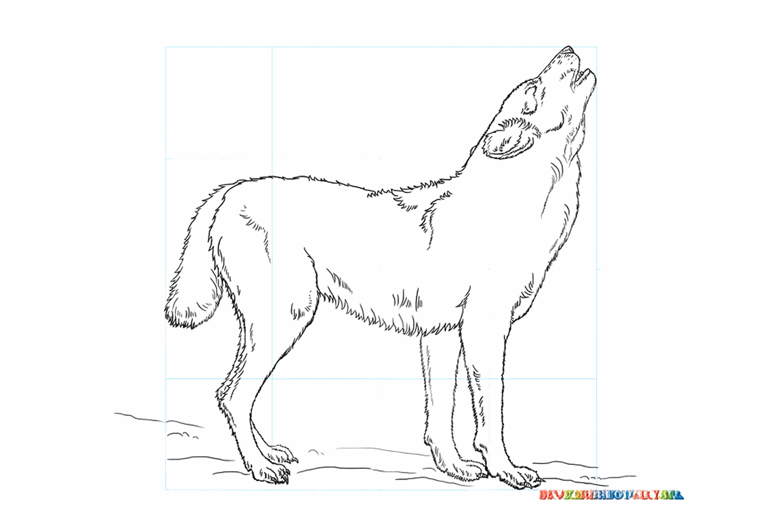 Drawing a Howling Wolf: Step-by-Step Drawing Lesson