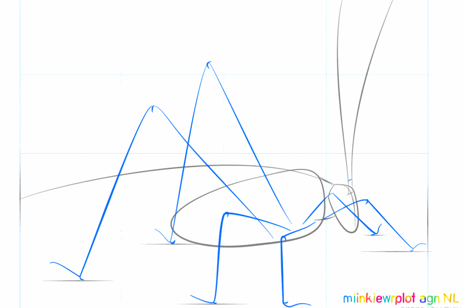 Lignes de guidage pour les pattes sous le corps du criquet.