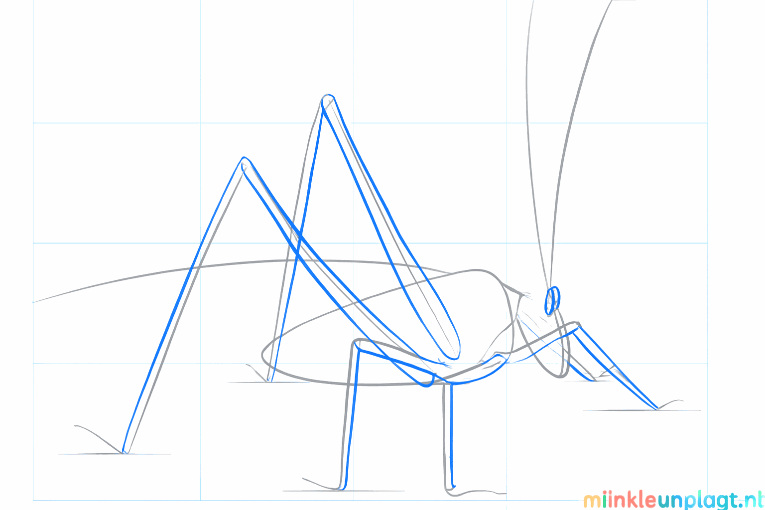 Des antennes plus épaisses et l'amorce des petites pattes avant.