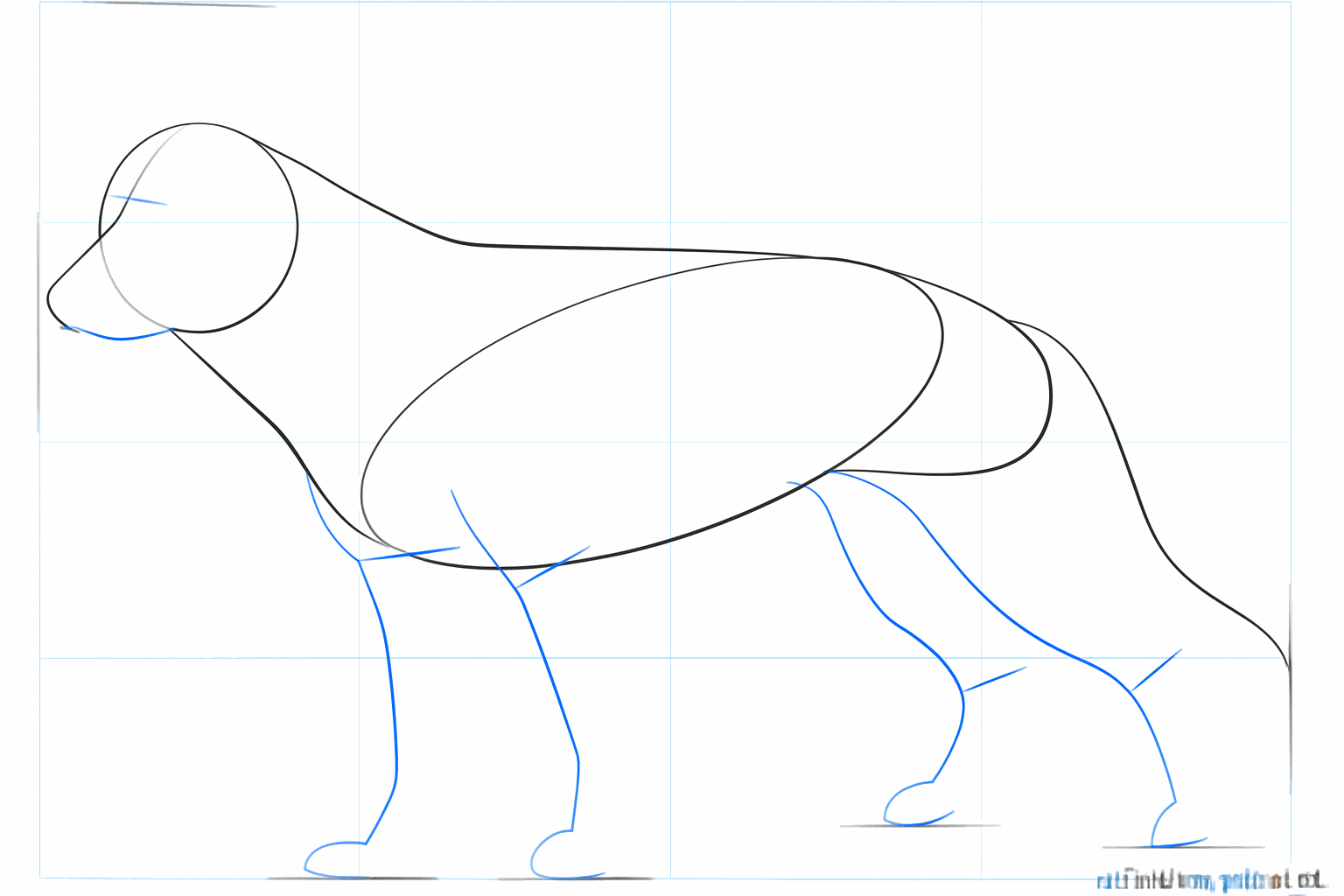 Lignes droites pour les pattes et une petite forme pour le nez du chien.