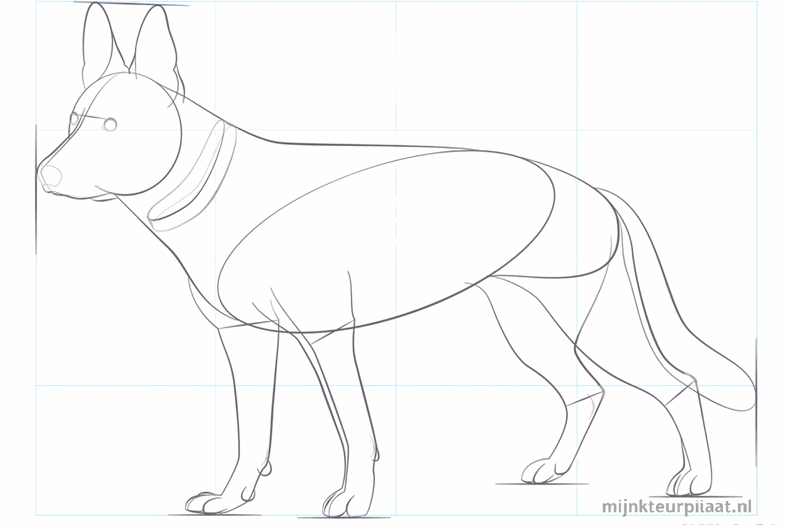 Détails tels qu'un collier, de petits yeux et un nez rond.