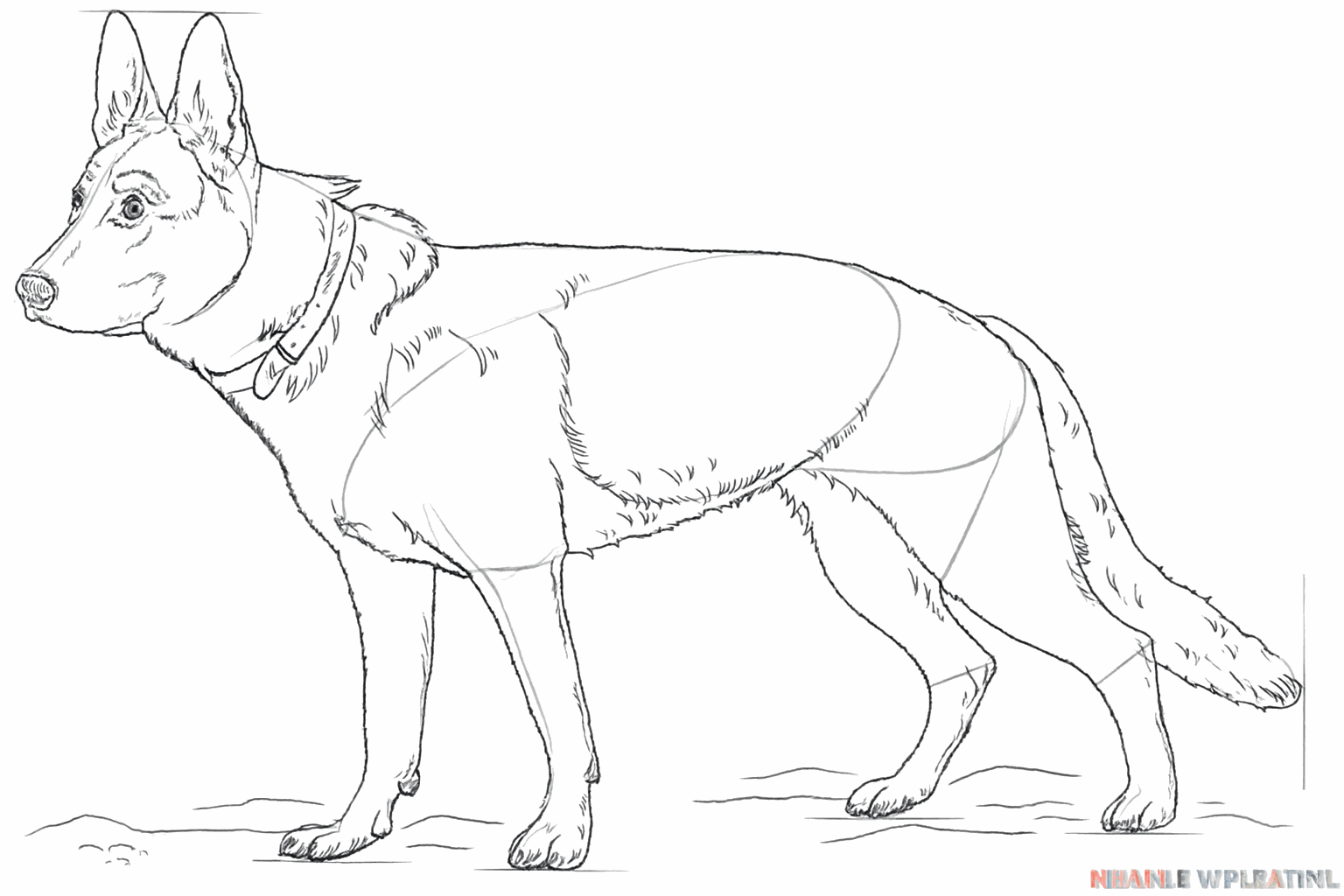 Lignes poilues le long des bords du chien et une bouche dessinée.