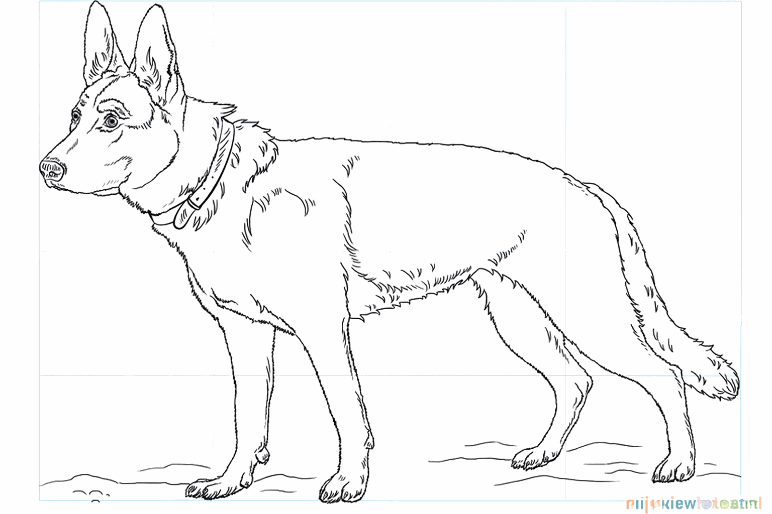 Drawing a tough German Shepherd