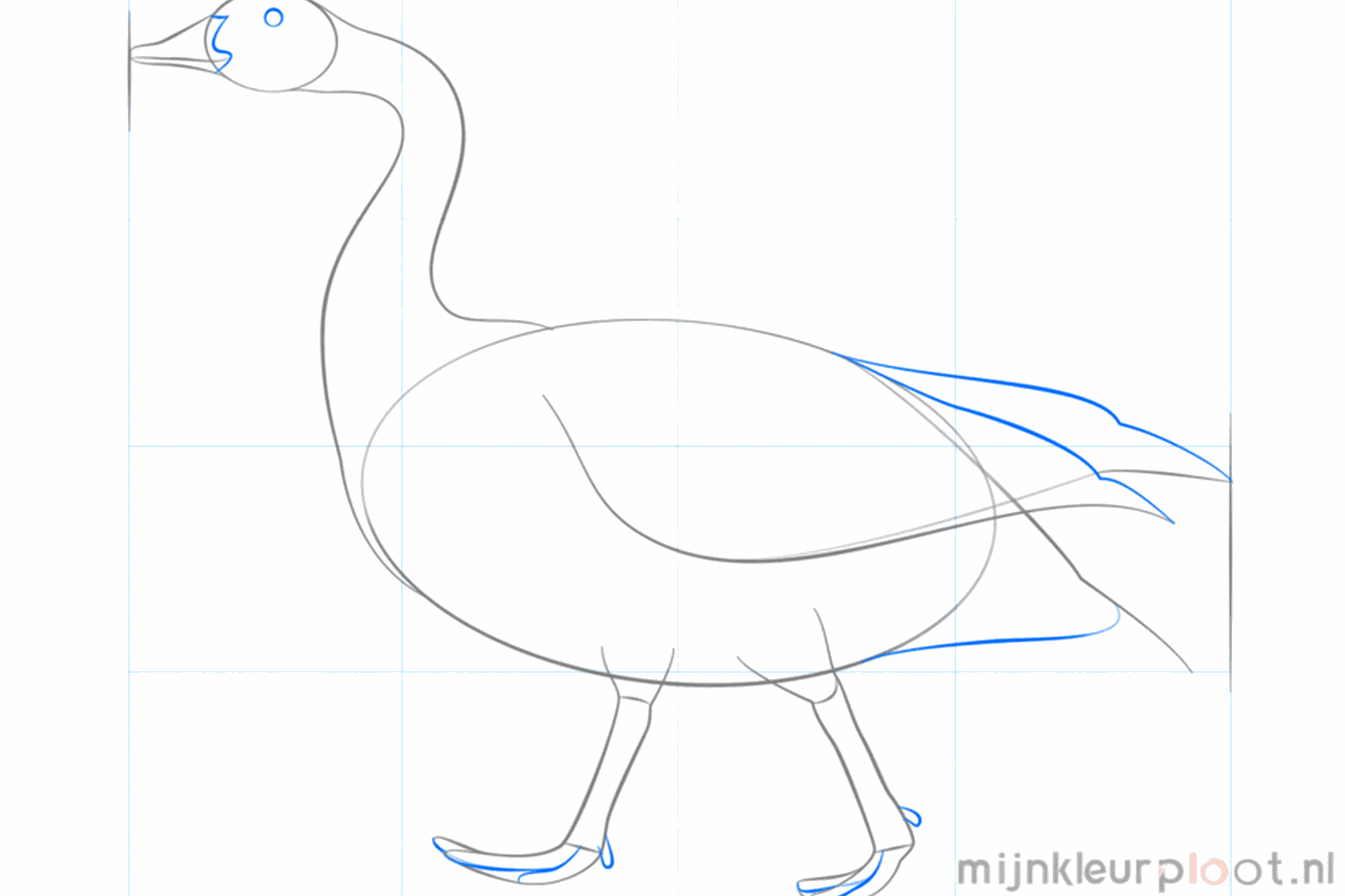 Draw the shape of the beak and the top of the goose's legs.