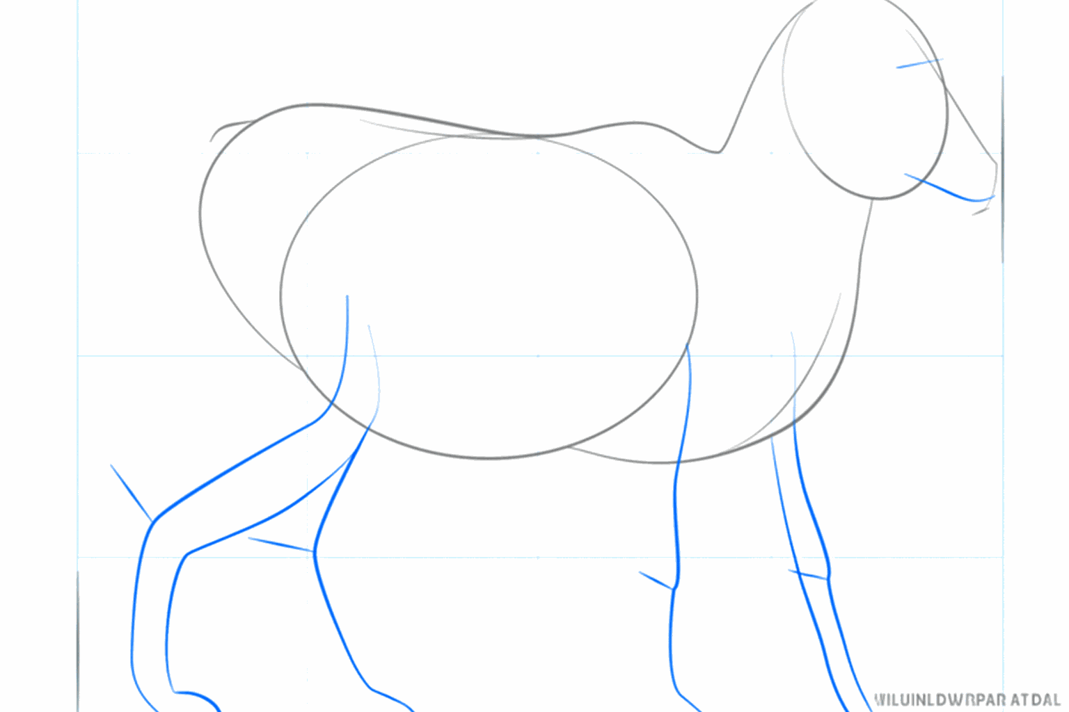 Lignes pour les pattes et petits points de repère sur le visage.