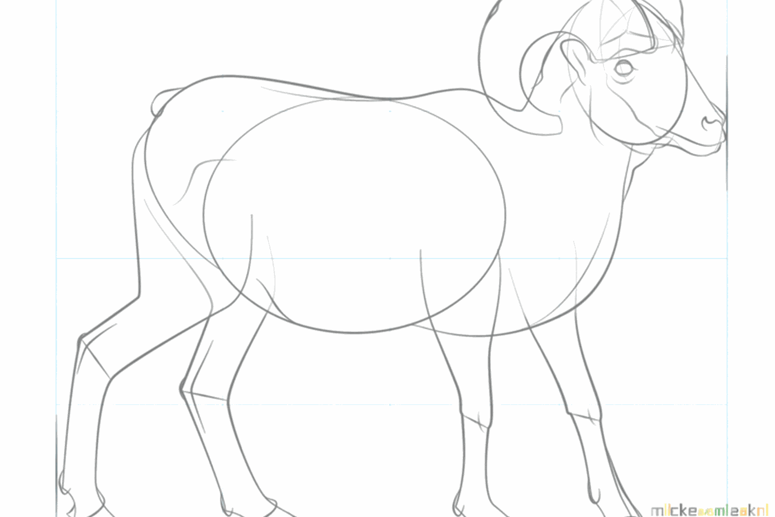 Une oreille et une ligne claire pour le ventre et le cou.