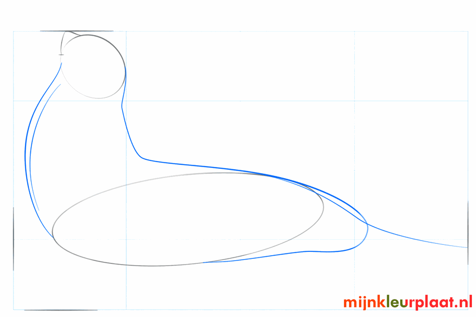 Deux lignes reliant la tête et le corps de l'otarie.