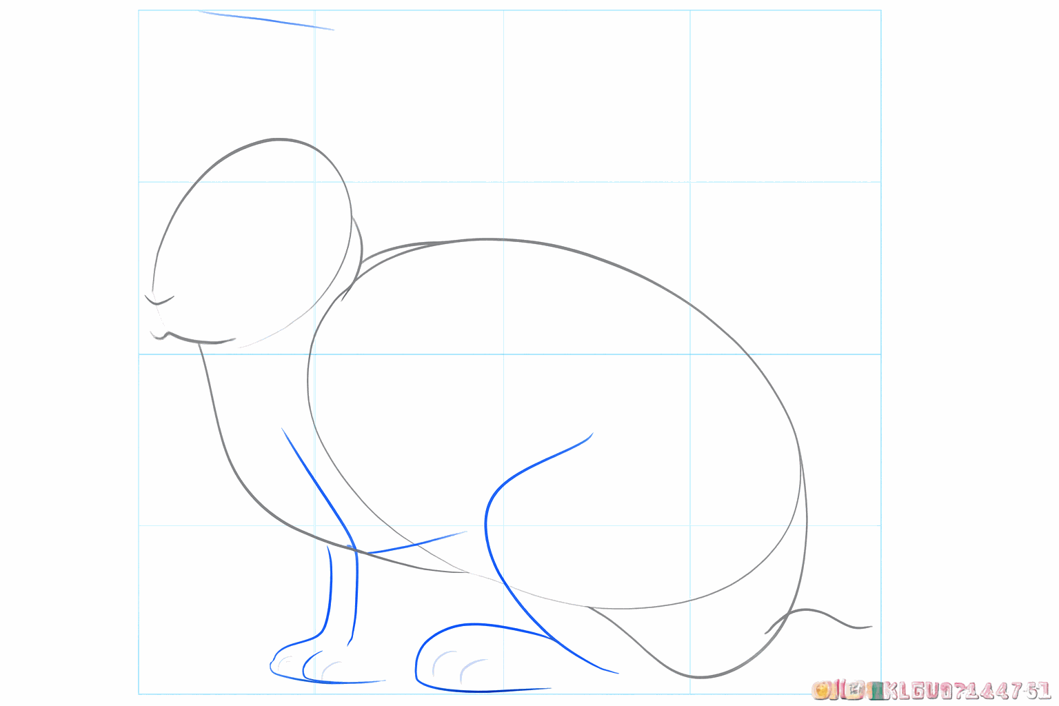 Lignes indiquant l'emplacement des pattes et du visage du lapin.