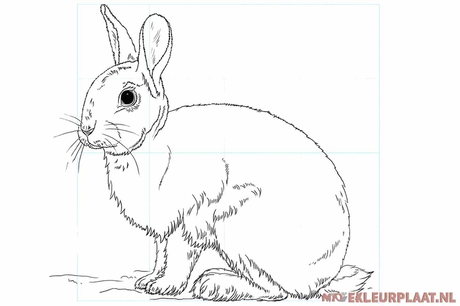 Drawing a cute bunny