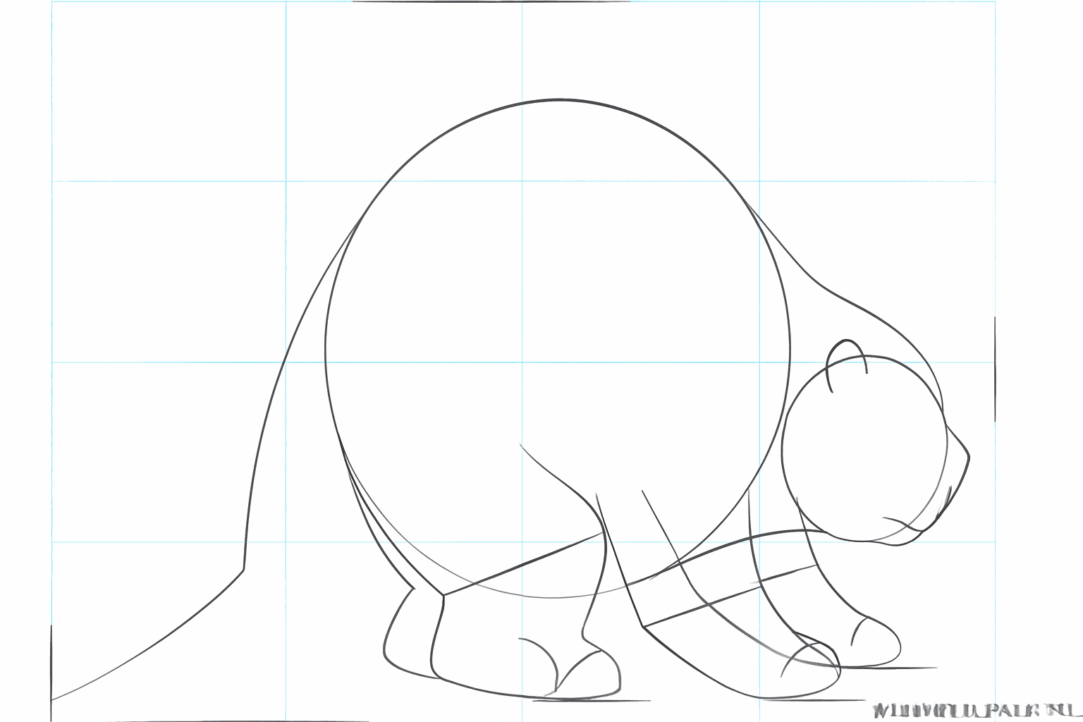 Les pattes et le museau prennent maintenant leur première forme réelle.