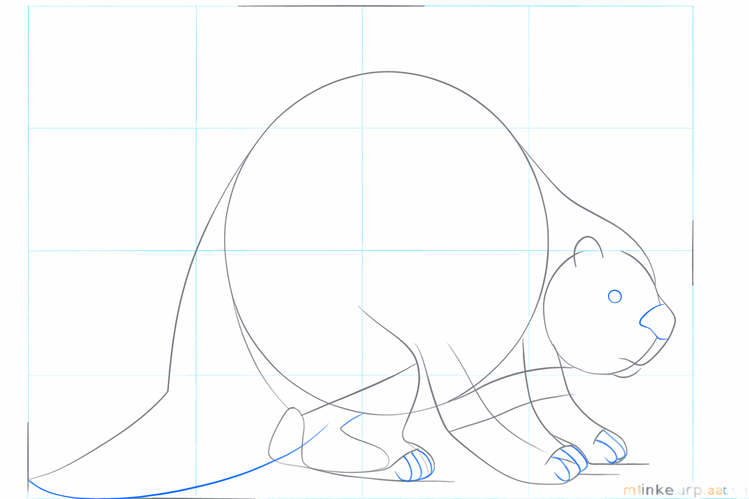 Le visage du porc-épic avec un œil et un nez rond.