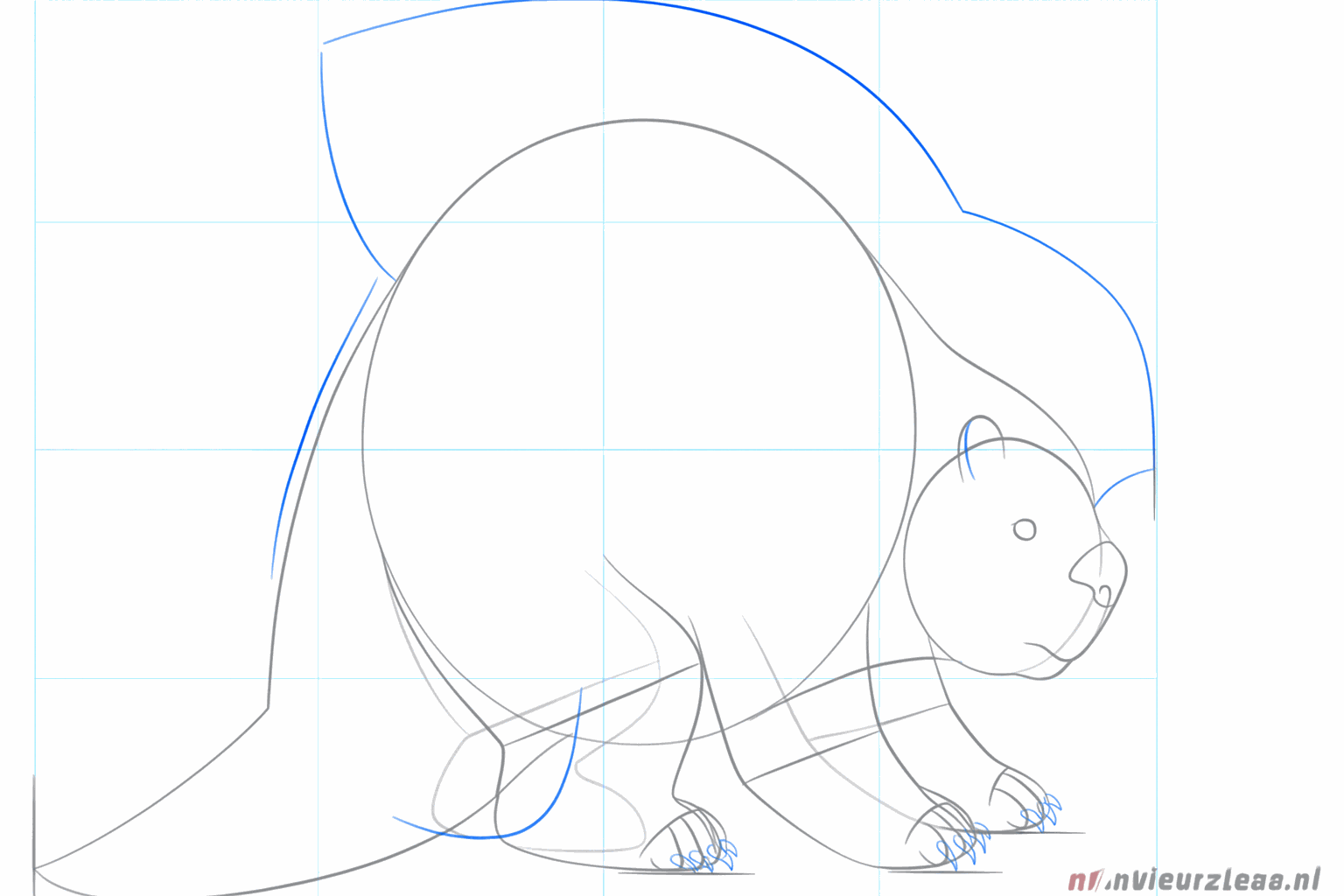 Détails comme les orteils et les premiers poils piquants sur le dos.