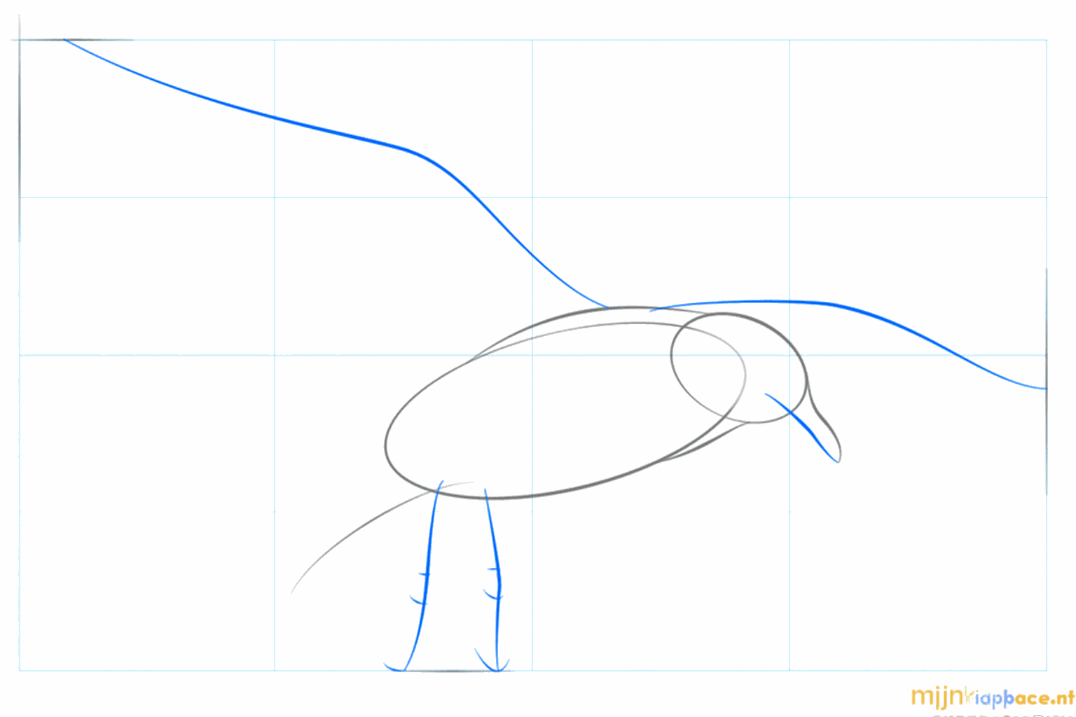 Guide lines for the wing and the legs of the seagull.