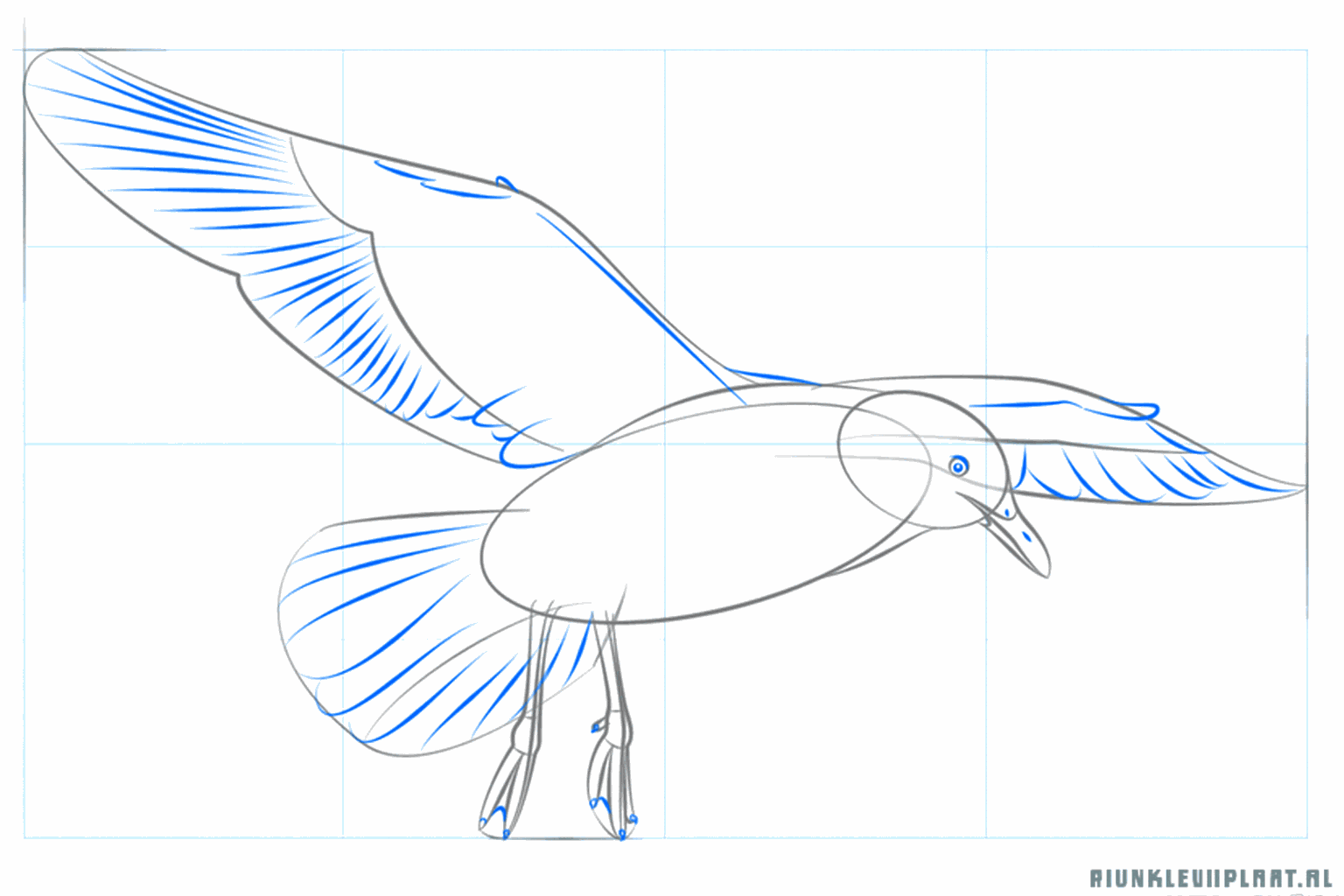 Legs with toes and the bottom of the seagull's wing.