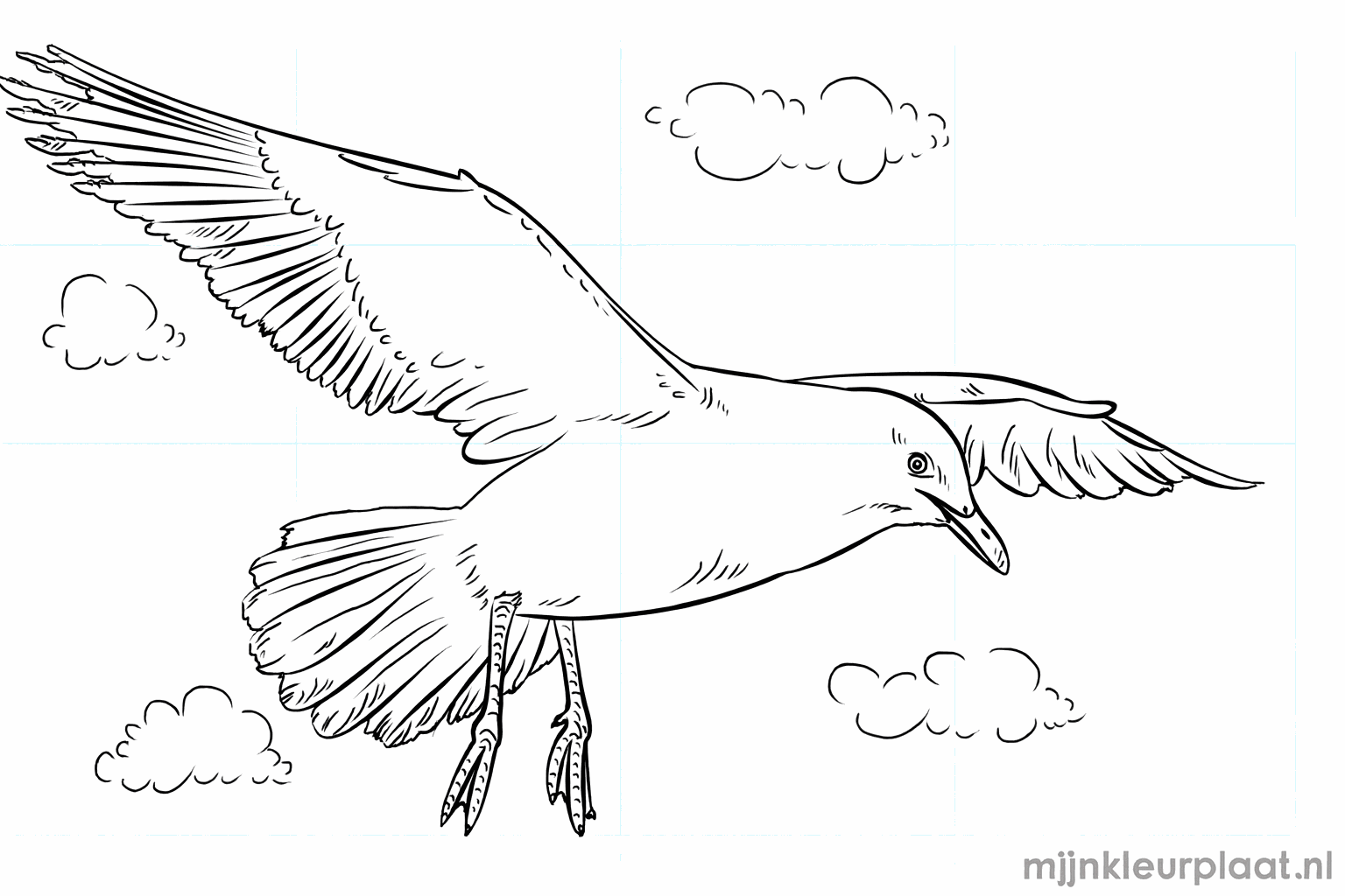 Drawing a seagull in 8 easy steps