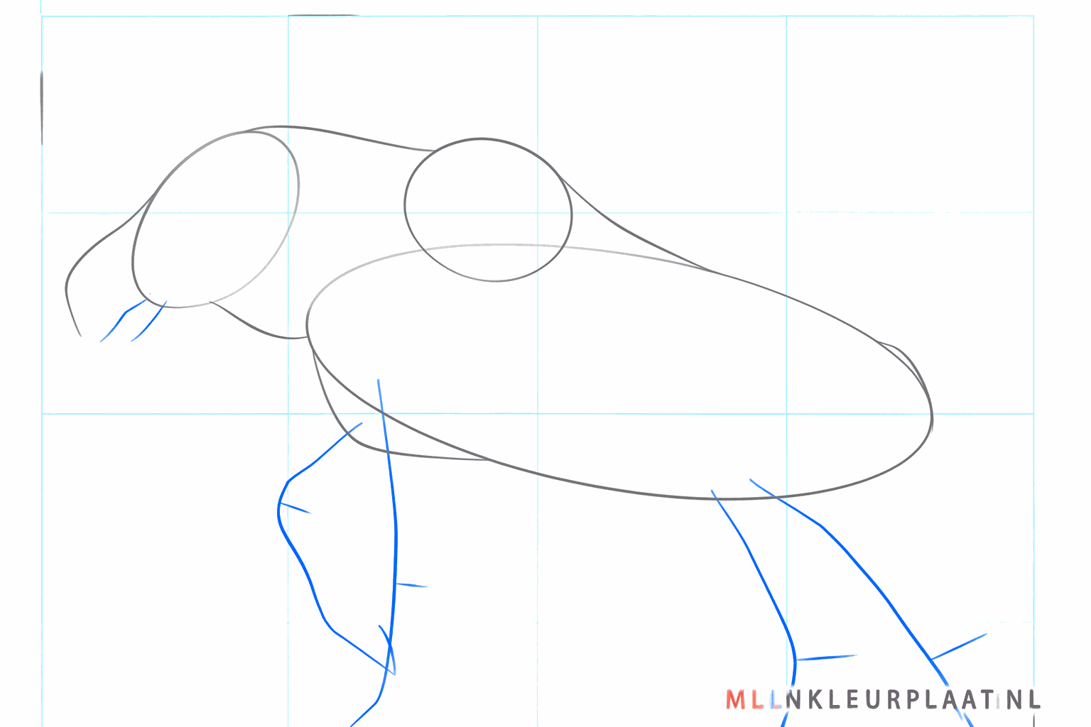 Füge Hilfslinien für die Beine und die Form des Mauls hinzu.