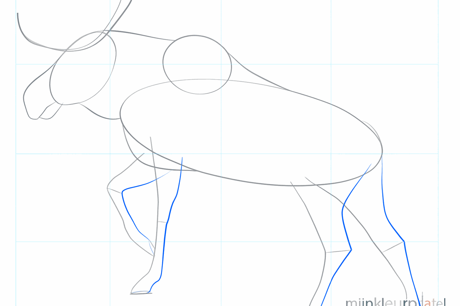 Zeichne die Dicke der Beine, die Schnauze und die Ohren.