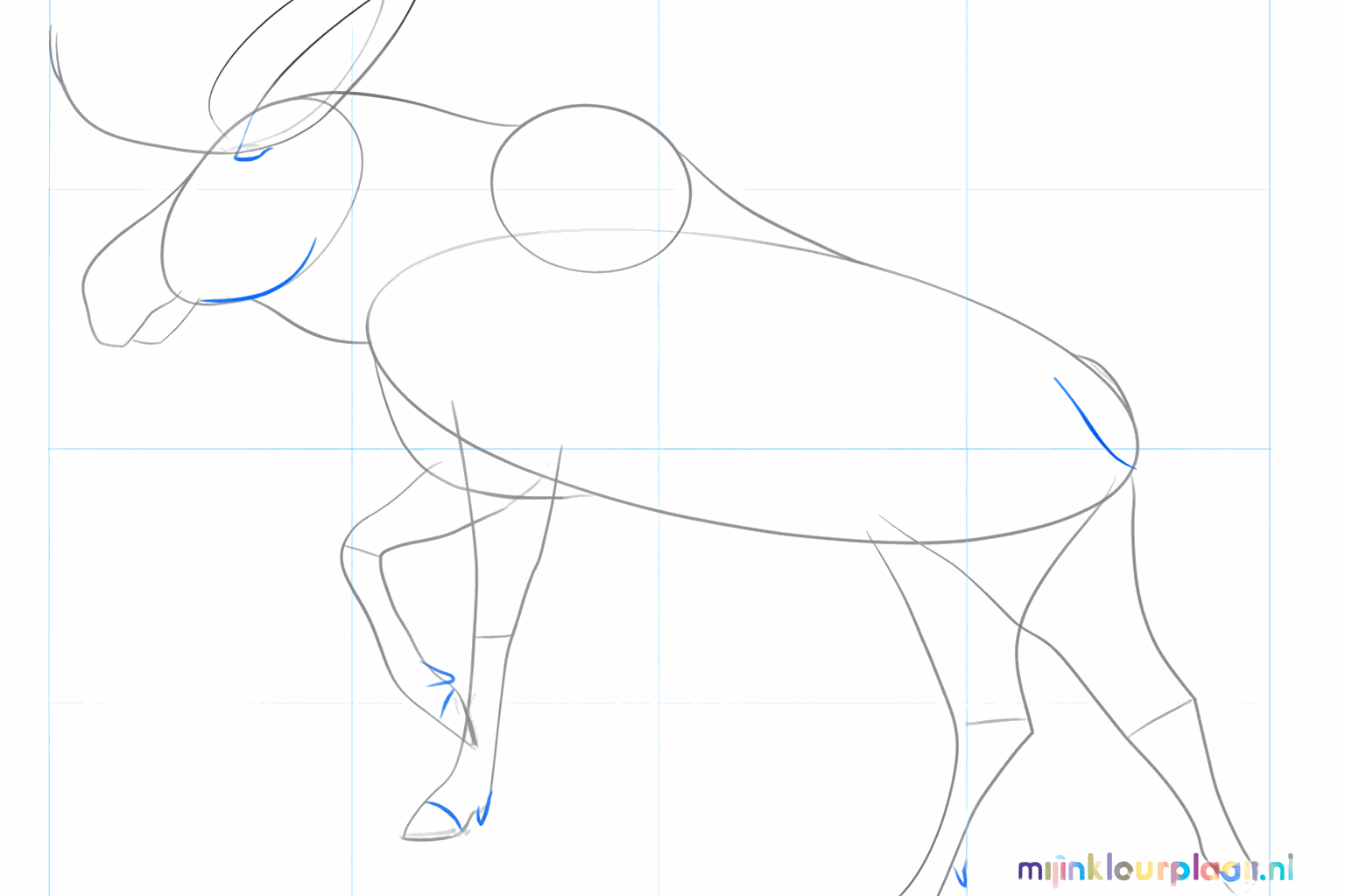 Füge die Hufe hinzu und zeichne die Basislinien für das Geweih.