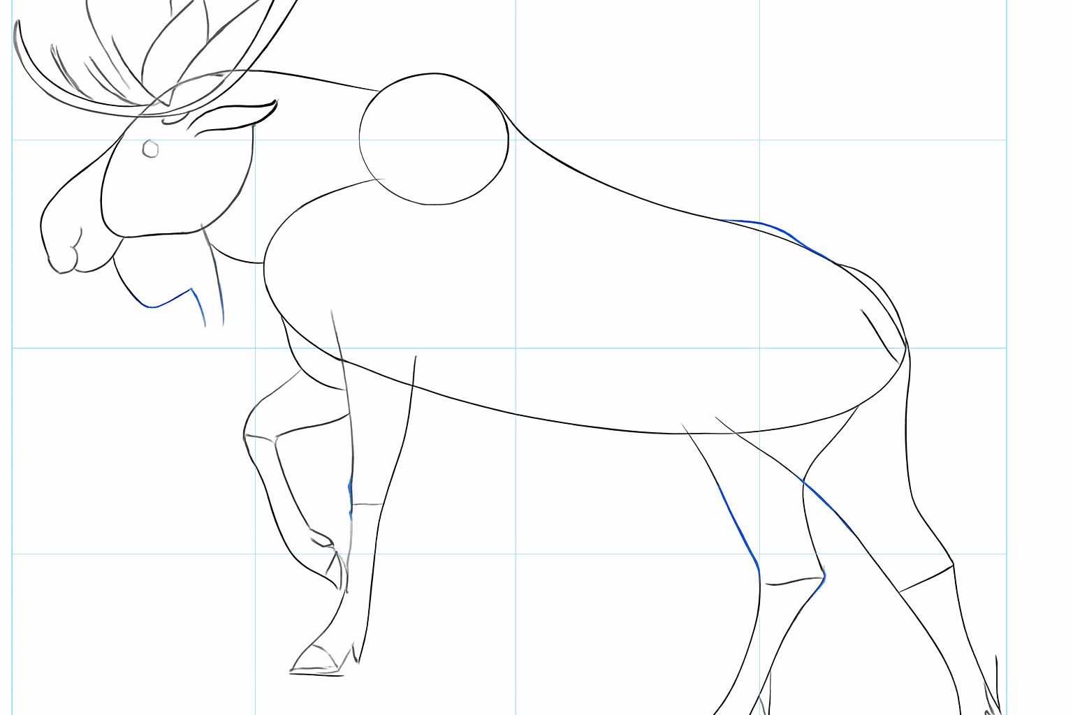 Zeichne die breiten Schaufeln des Geweihs und verfeinere den Kopf.