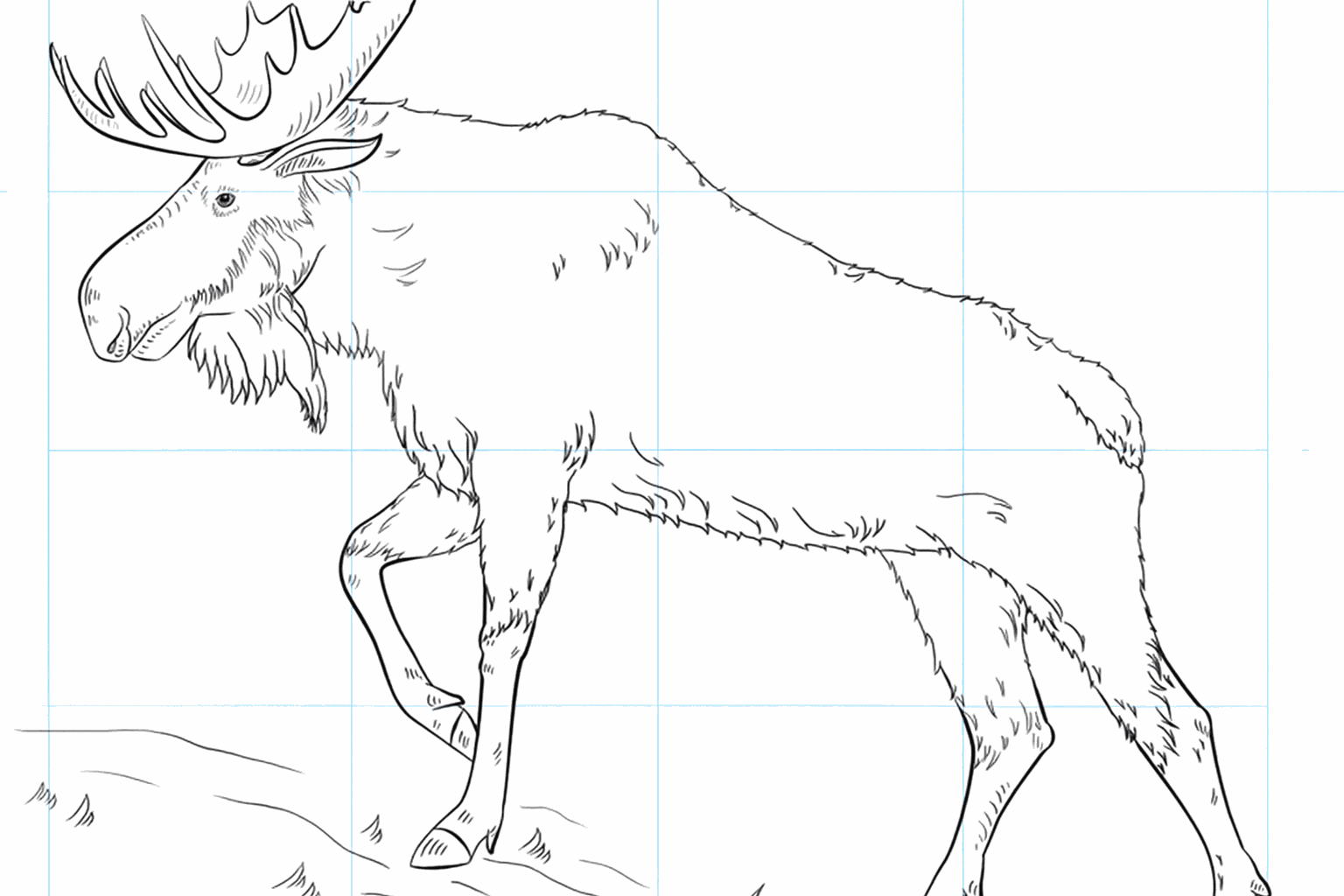 Die fertige Zeichnung eines Elches mit Gras auf dem Boden.