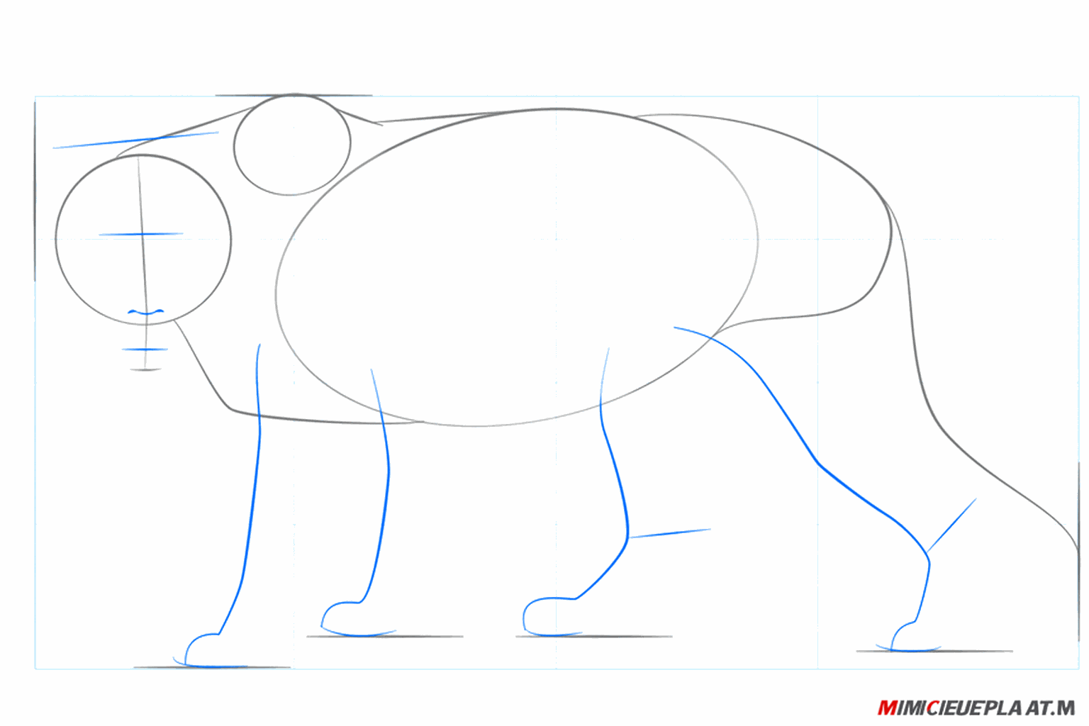 Lignes de repère pour les oreilles, les yeux et les quatre pattes de la lionne.