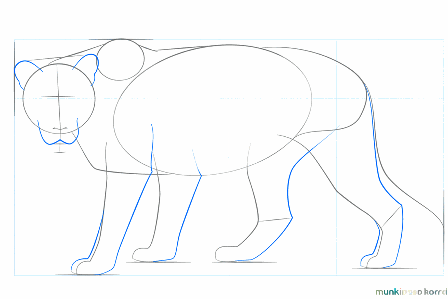 Pattes plus épaisses et esquisse de la forme du museau de la lionne.