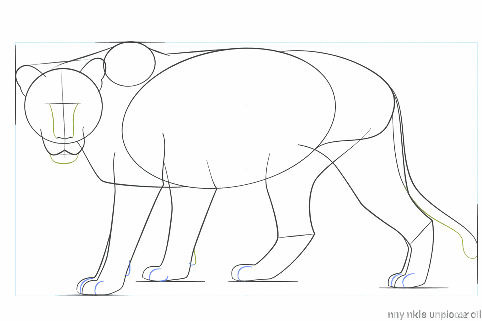 Oreilles rondes sur la tête et extrémité duveteuse de la queue.