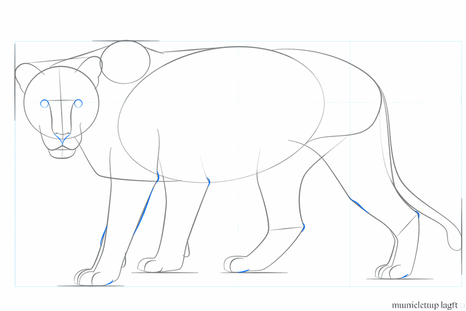 Détails du museau et des grands pieds de la lionne.