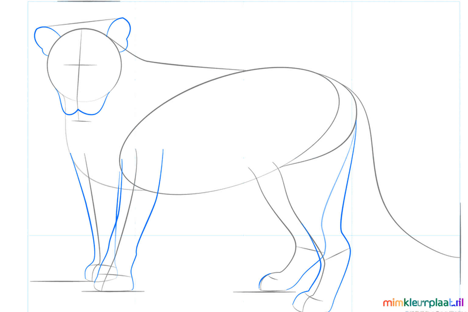 Ajout de pattes épaisses et d'oreilles rondes au lion.