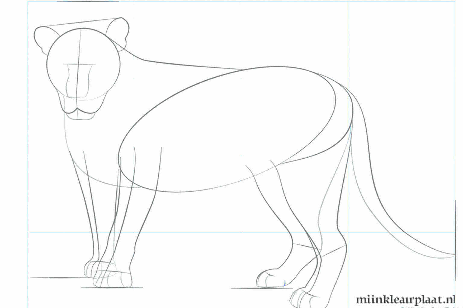 Dessiner le museau et le bas des pattes.