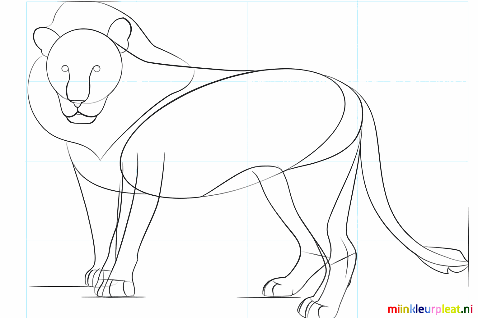 Détails du nez, de la bouche et des orteils du lion.