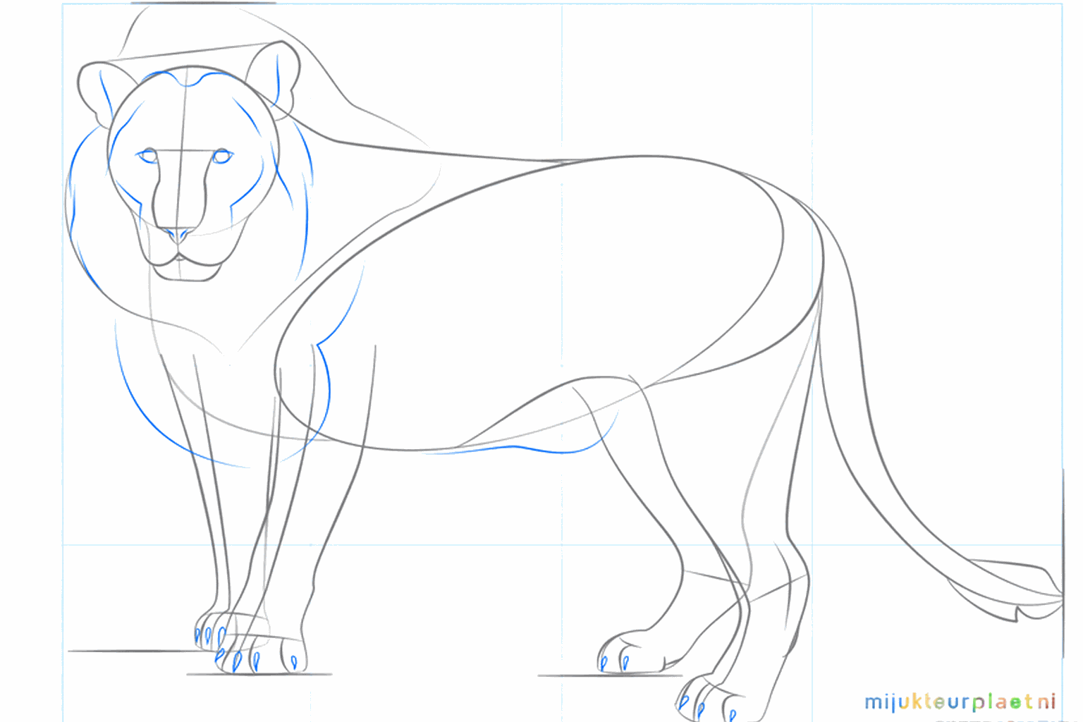 Yeux et début de la crinière sauvage autour de la tête.